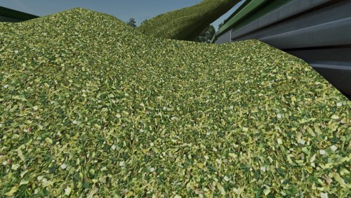 More information about "Texture of wood chips and chopped silage"