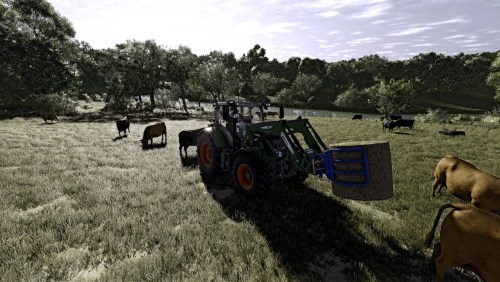 More information about "Real shader and lighting for frame generation"