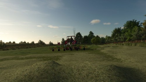 More information about "Hay and grass swath texture"