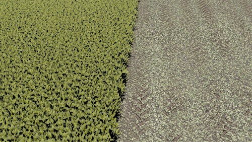 More information about "Sugarbeet texture - rowcrop ready"