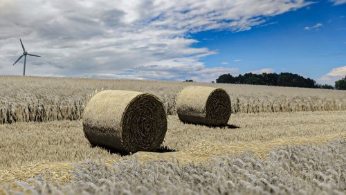 More information about "Wheat, bales and straw textures"