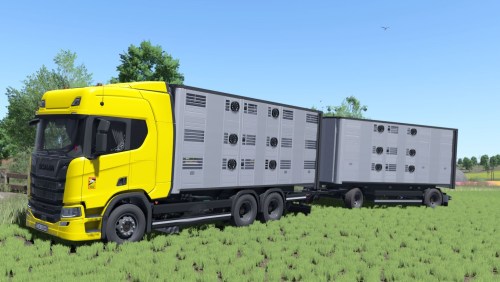 More information about "Scania R animal transport"